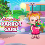 Baby Hazel Parrot Care